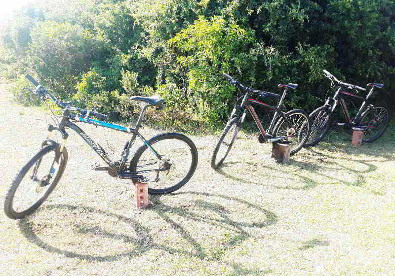 Hotel Oyster Bay Lodge 11