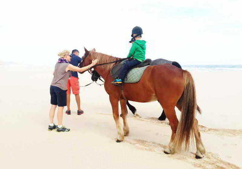 Hotel Oyster Bay Lodge 13