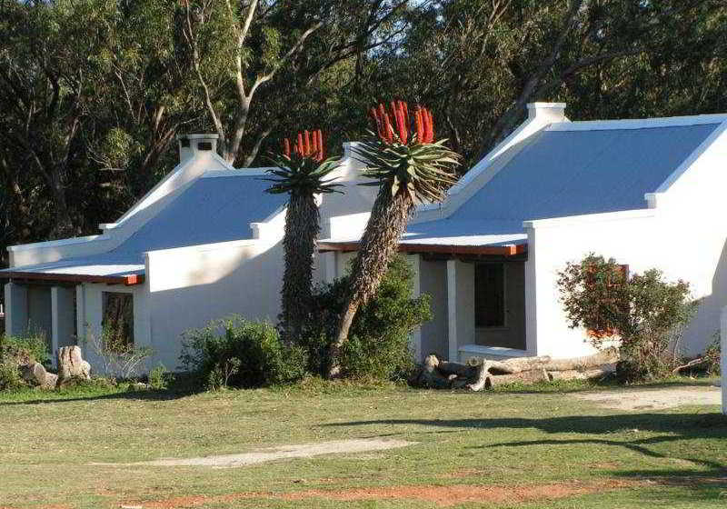 Hotel Oyster Bay Lodge 14