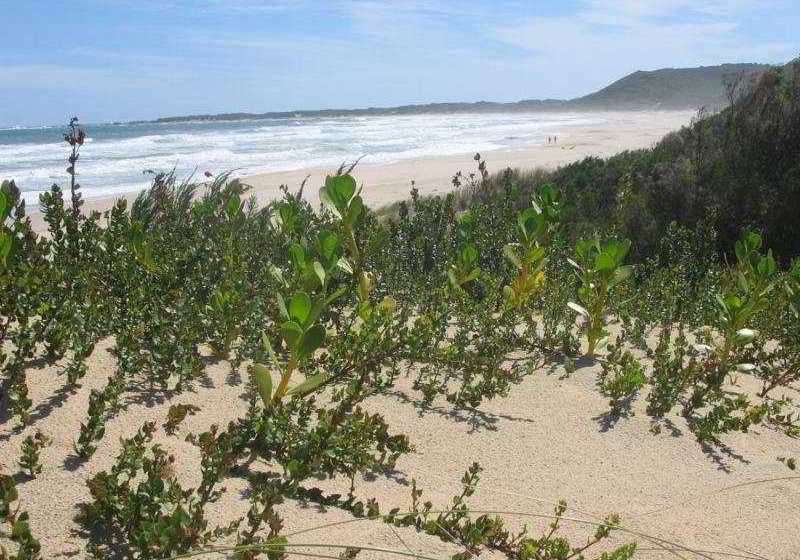 Hotel Oyster Bay Lodge 17