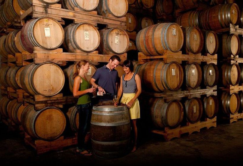 Motel Comfort Inn Riccarton 3