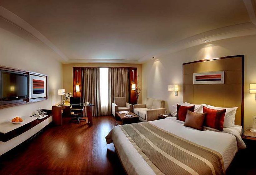 Hotel Park Inn Gurgaon 8