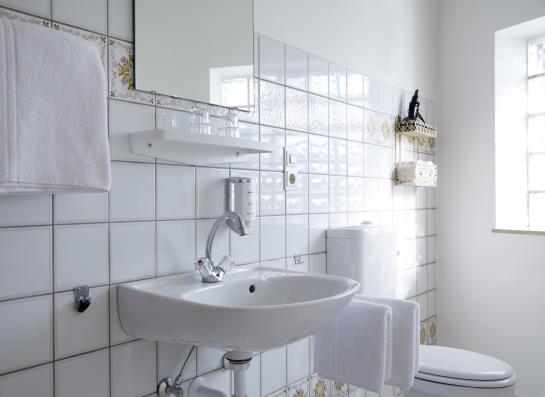 Hotel Bad Griepshop 3