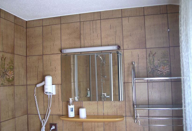 Gasthof Hotel Zum Ross 9