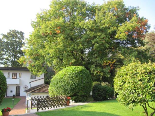 Hotel Haus Am Zoo Renania del Norte Westfalia