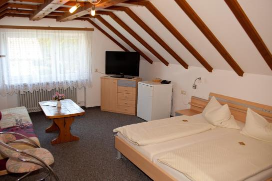 Hotel Albert Schweitzer Haus 5