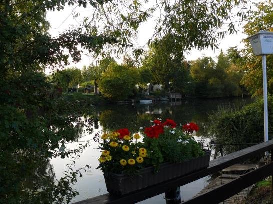 Hôtel Altes Eishaus 5