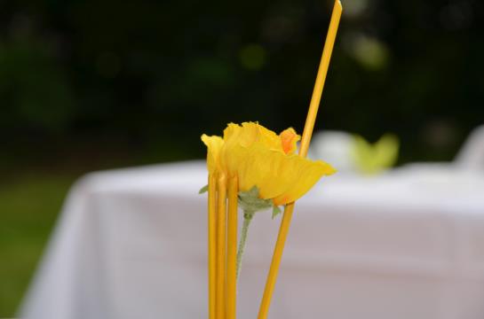 Landhotel und Gasthof Seerose 5