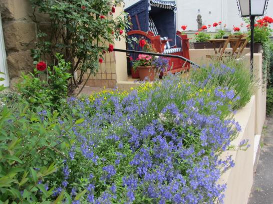 Hotel Kurvilla Fürstin Pauline 7