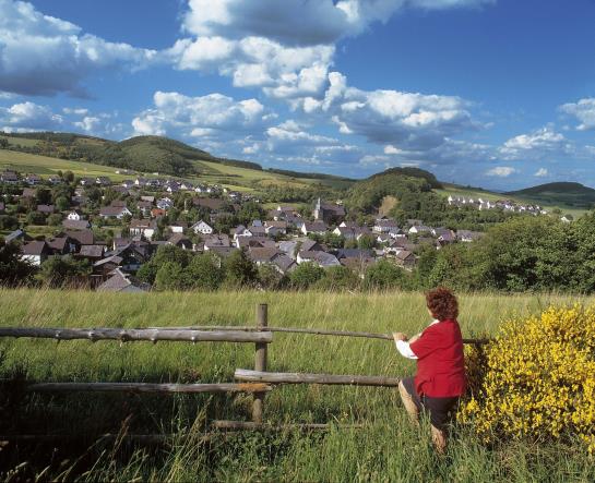 Landhotel Haus Zur Sonne 10