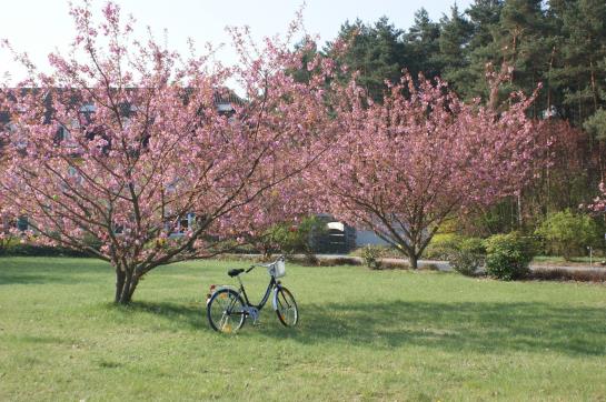 GreenLine Landhotel Im Fläming 1