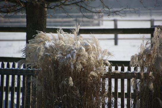 GreenLine Landhotel Im Fläming 11