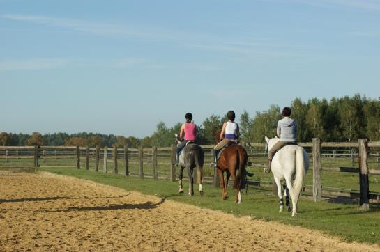 GreenLine Landhotel Im Fläming 12