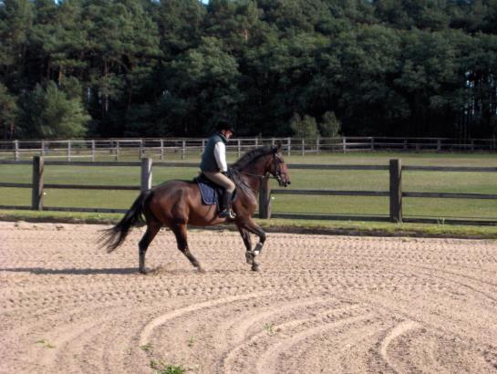 GreenLine Landhotel Im Fläming 13