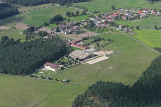 GreenLine Landhotel Im Fläming 19