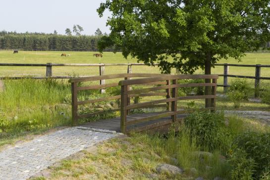 GreenLine Landhotel Im Fläming 6