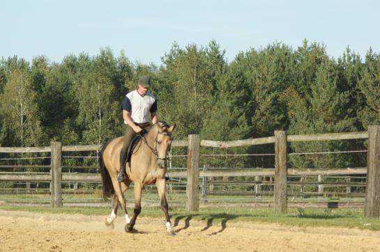 GreenLine Landhotel Im Fläming 8