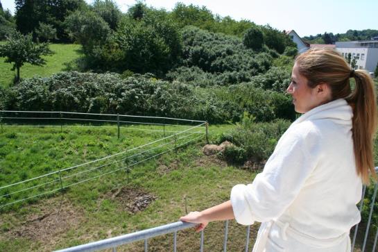 Aron Hotel Darmstadt-Rossdorf 4