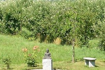 Wohlfühlhotel Sonnengarten 11