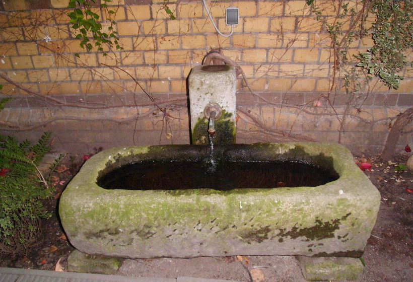 Stadthotel Wittenberg Schwarzer Baer 18