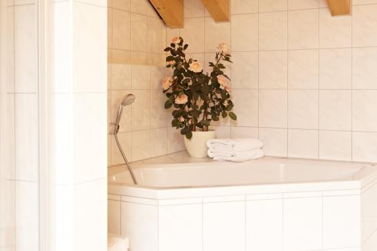 Akzent Hotel Schatten 4