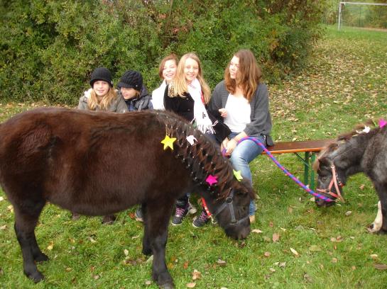 Hotel Glocknerhof Sport Und Familiendorf 8