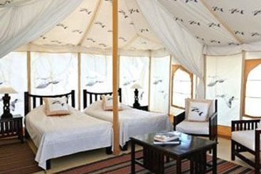 Hotel Tiger Machan 3