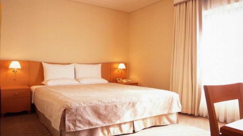 Hotel Regenta Central Klassik 1