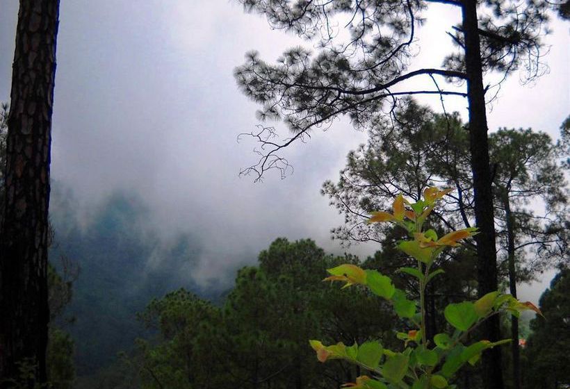 Hotel Country Inn Sattal 13