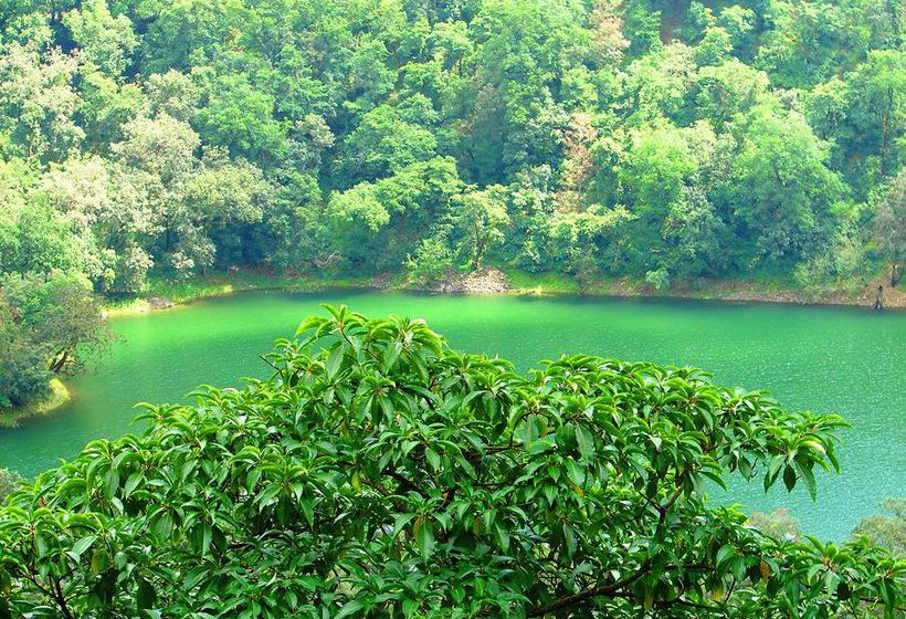 Hotel Country Inn Sattal 6