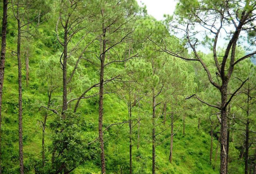 Hotel Country Inn Sattal 9