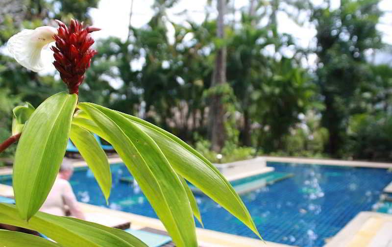 Tropical Herbal Spa & Resort 7