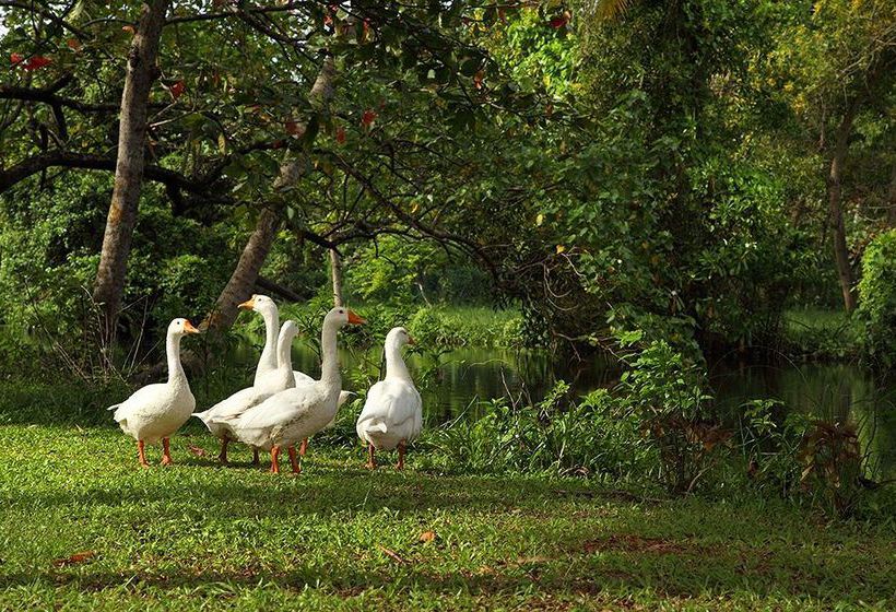 Hotel Abad Turtle Beach Resort 8