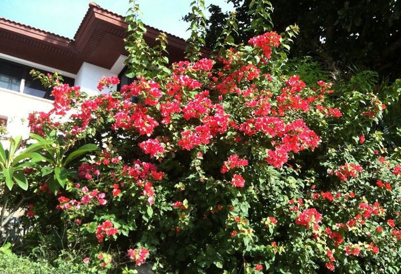 Hotel Baanrajdamnern Hua Hin 5