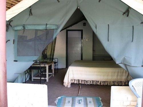 Hotel Corbett Ramganga Resort 12