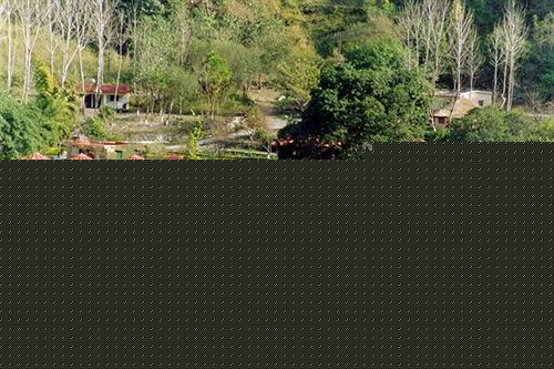 Hotel Corbett Ramganga Resort 9