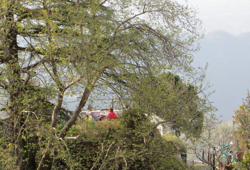 Hotel Kasmanda Palace 13