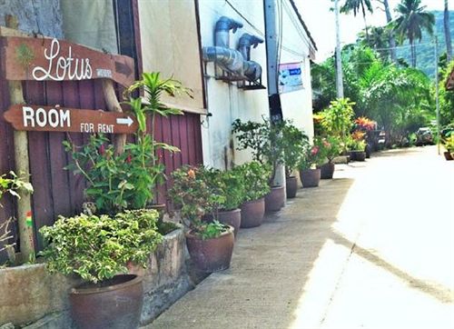 Hotel Lotus Resort 10