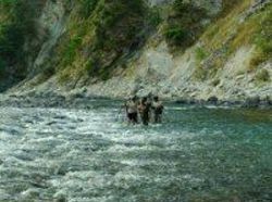 Resort Riverine Woods 10