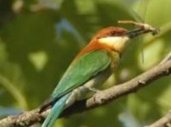 Resort Riverine Woods 12