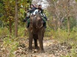 Resort Riverine Woods 7