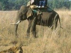 Resort Riverine Woods 9