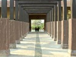 Hotel Celebration Van Vilas Bandhavgarh 1