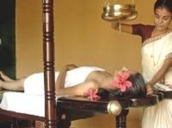 Hotel Celebration Van Vilas Bandhavgarh 13