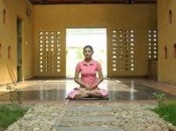 Hotel Celebration Van Vilas Bandhavgarh 14