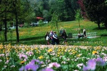 Hotel Am Mühlbach 12