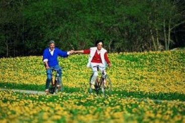 Hotel Am Mühlbach 13