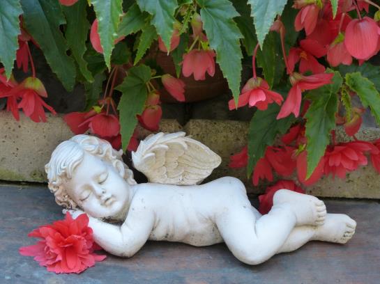 Hotel am Hehlentor 5