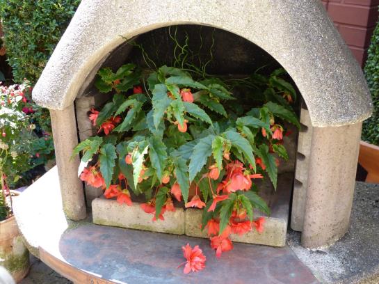 Hotel am Hehlentor 6