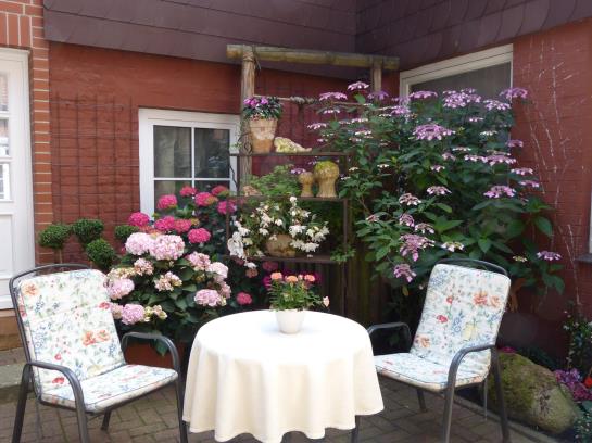 Hotel am Hehlentor 8